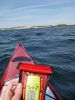 Filnavn=P8310048.JPG
Filstørrelse=103KB
Dimensioner=576x768
Tilføjet dato=02. Sep., 2008 P8310048.JPG