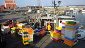 Filnavn=RIMG0091.JPG
Filstørrelse=213KB
Dimensioner=1244x700
Tilføjet dato=20. Jun., 2015 RIMG0091.JPG