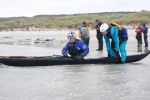 Filnavn=_A0S9609.jpg
Filstørrelse=220KB
Dimensioner=1536x1024
Tilføjet dato=10. Okt., 2016 _A0S9609.jpg