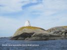 Filnavn=varde_st_bokholmen.jpg
Filstørrelse=341KB
Dimensioner=865x646
Tilføjet dato=18. Jun., 2012 varde_st_bokholmen.jpg