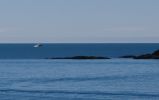 Filnavn=2330.jpg
Filstørrelse=160KB
Dimensioner=1012x636
Tilføjet dato=05. Dec., 2007 2330.jpg