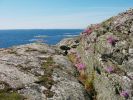 Filnavn=Sverige_pinsen_maj05_28.jpg
Filstørrelse=464KB
Dimensioner=1024x768
Tilføjet dato=17. Maj., 2005 Sverige_pinsen_maj05_28.jpg