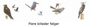 Filnavn=slut.jpg
Filstørrelse=64KB
Dimensioner=850x270
Tilføjet dato=28. Aug., 2015 slut.jpg